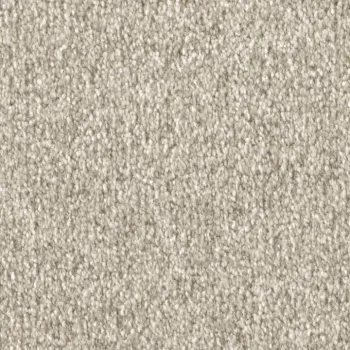 Draufsicht auf Vorwerk Celina 8L50 beige Teppichboden mit Preisschild 89,91 €/m²